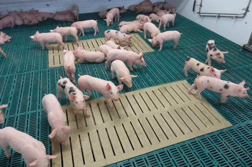 Kunststoffsystem mit Betonrost