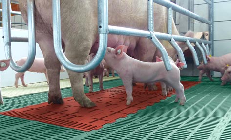 Mix-Systeme aus Kunststoff und Guss