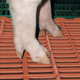 Anti-Rutsch-Gussroste